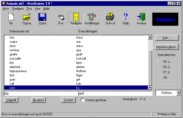 Wordtrainer 3.0 running on Windows 95